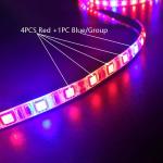 24v Grow Lights for Indoor Plants, Full Spectrum led Grow Light Plant Light for