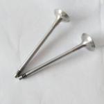 Replacement Diesel Engine Parts J18 TD21 Intake And Exhaust Valve For Nissan