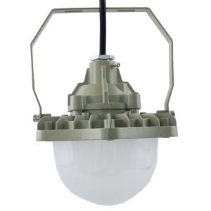 100-277v 100lm/W 50w Explosion Proof Led Lighting