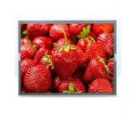 Tianma Tm150tdsg70 15 Inch LCD Laptop Screen Display Panel 300cd/M2