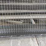 30kn PP Plastic Biaxial Geogrid for Road Construction Length 50-100m Raw