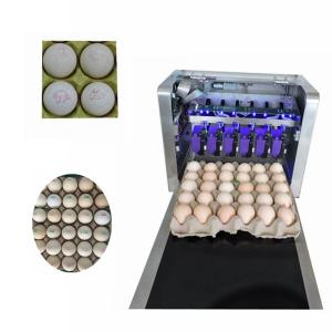 Wholesale High Resolution Food Inkjet Printer , Eggs Expiry Date Printing Machine from china suppliers