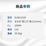 Electric Energy 1.2 Wh 12V100AH Leoch DJM12100 Maintenance Free Lead Acid Gel