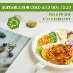 9 10inch Compostable Sugarcane Plates Degradable White Heavy Duty Paper Plates
