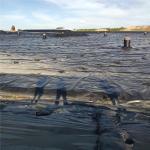 Length 50m-200m/roll HDPE Geomembrane for Landfill Fish Pond and Dam Liner at