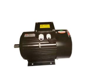 Wholesale Special Inverter Variable Speed Motor , High Speed Asynchronous Motor For Printing IEC from china suppliers