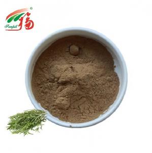 Wholesale Antioxidant Rosemary Extract Powder Rosmarinic Acid HPLC For Food Additive from china suppliers