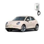 Energy Vehicles 2024 White Great Wall Ora Good Cat 400 Light Edition EV Car for