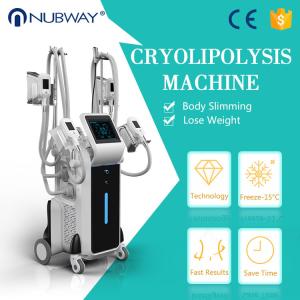 Wholesale Best seller freeze machine cryolipolysis freezing fat body slimming weight loss machine from china suppliers