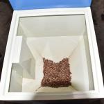 Biomass Pellet Fired Steam Boiler Automatic Biomass Energy Generator