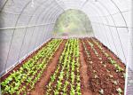 100% PP Nonwoven White Extra Width Non Woven Landscape Fabric Biodegradable For