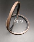 Shaft Hydraulic Sealimbined Piston Seals Nbr PTFE SPG Taiwan for Mechanical Seal