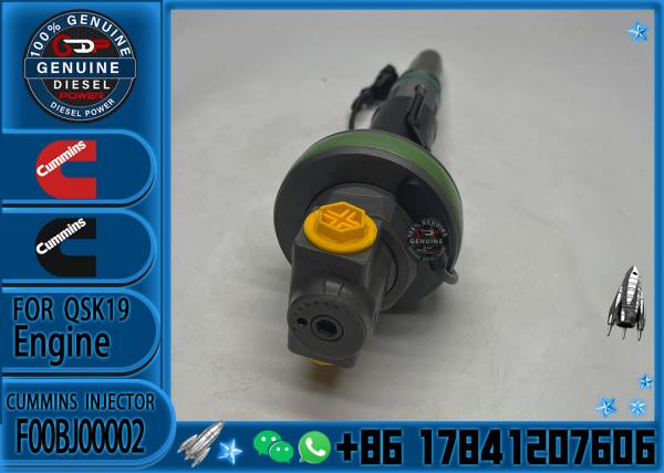 Genuine Fuel Injector Assembly F00BJ00002 01986435613 0986435902 0986435905