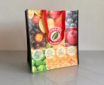 Printed Eco Grocery Printable Gift Reusable Recycled Non-Woven Laminate