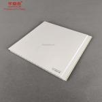 Indoor Construction Material Plastic Wall Panels Anticorrosive
