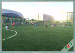 Environmentally Friendly Soccer Artificial Grass Monofilament PE Material