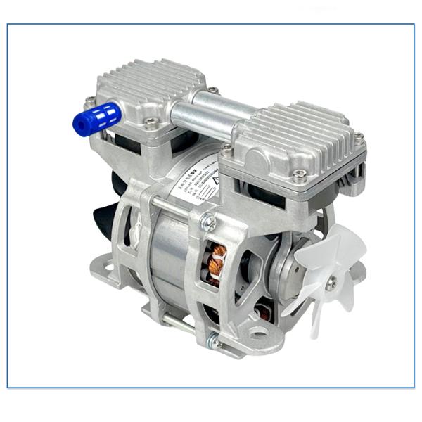 Small One In One Out Large Flow 30L/Min Oil Free Pump For Air Compressor Fast 5L Oxygen Generator