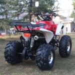 Customizable 125cc Adult All-Terrain Off-Road Vehicle with Natural Air-Cooled