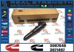 Diesel engine spare parts common rail fuel injector 3406604 3087648 for M11