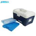 Non Toxic Large Cooler Ice Packs SGS Approved For Cold Chain Transport
