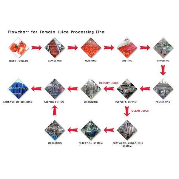 SS304 200T/D Aseptic Filling Tomato Production Line
