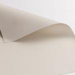 Anti UVA Blockout Roller Blinds Bunnings Slat Style 240g - 260g/m2