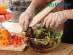 Food Handling CPE Disposable Clear Plastic Gloves 0.045mm