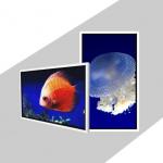 TFT 49 Inch Wall Mount Digital Signage Wall Mounted Digital Advertising Screen