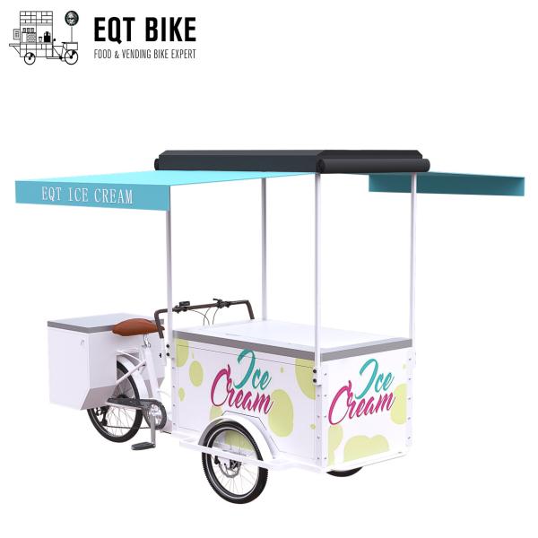EQT 138L Fridge Ice Cream Tricycle Cargo Bike For Sale High Quality Front