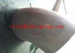 TOBO GROUP 90° ELBOW LR 18SCH10 ASTM A403 317L