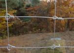 Hot Dipped Galvanized Steel Wire Deer Fence/ Grassland Cattle Fence For Mountain