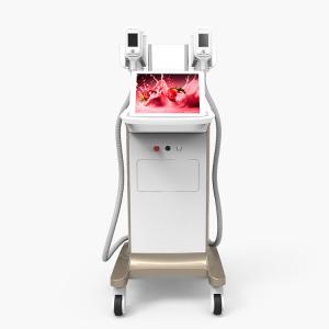 Wholesale 100% fat freeze cryolipolisis Safe And Effective 0-100kPa Vacuum Cryolipolysis Slimming Equipment from china suppliers