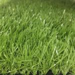 Long Warranty Synthetic Artificial Lawn Grass For House Balcony Garden