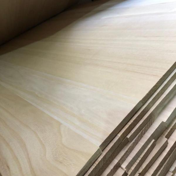 2440x1220 or 1200x600 Size 12mm Compressed Paulownia Wood Board with FSC