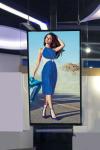 OLED Paper Thin Hanging Wall Mounted Digital Signage Tempered Glass 55" AC100V