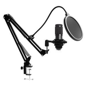 Wholesale Youtube 24Bit 192KHz Condenser Mics , Condenser Mic With Shock Mount from china suppliers