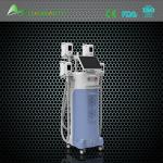 (Hot in Europe) 2015 Advanced Medical CE approved fat freezing cryolipolysis