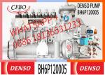 Diesel Common Rail Fuel Pump 6P730 006P730P 5266036 BH6P120005 BHF6P120005 For