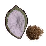 Black Pepper Extract Natural Raw Material 50% 95% 98% Piperine Powder For