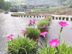 90gsm Polypropylene Ground Cover Anti Weed PP Woven Fabric Weed Control Ground