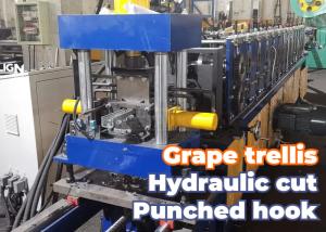 Wholesale Metal Grape Arbor Profiles Roll Forming Equipment With Precision Punching And Automatic Hydraulic Cutting from china suppliers