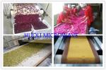 Industrial Conveyor Belt Type Microwave Herb Leaves Dryer/Microwave Tea Drying