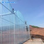 Wind Resistant Agriculture Plants Growing Hydroponic System Poly Film Multi Span