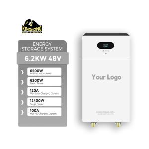 Wholesale 3.6KW Dual Output Monocrystalline Silicon Solar Inverter with 24V 100Ah Lithium Battery from china suppliers