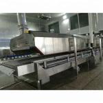 China made liquid nitrogen fast freezing food freezing conveyor for seafood