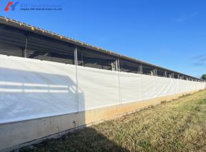 Wholesale Modern Steel Poultry Farm Shed Construction , Piggery House Steel Shed Buildings from china suppliers