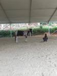 Wholesale waterproof A Frame Event Tent with 850gsm PVC Coated Polyester Fabric