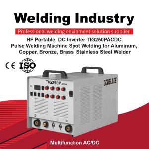 Wholesale Portable High Frequency TIG Welding Machine 220V DC Inverter from china suppliers