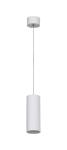 10W20W30W series PL02NML PL03NML PL04NML pendent light Aluminum spotlight led