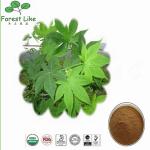 Dietary Supplement Nature Plant Brown Herbal Devils Claw Leaf Extract